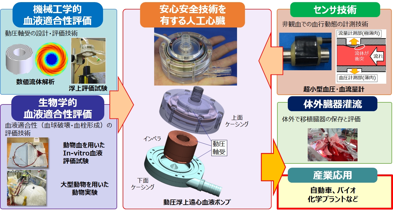 研究紹介図