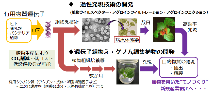 研究紹介図