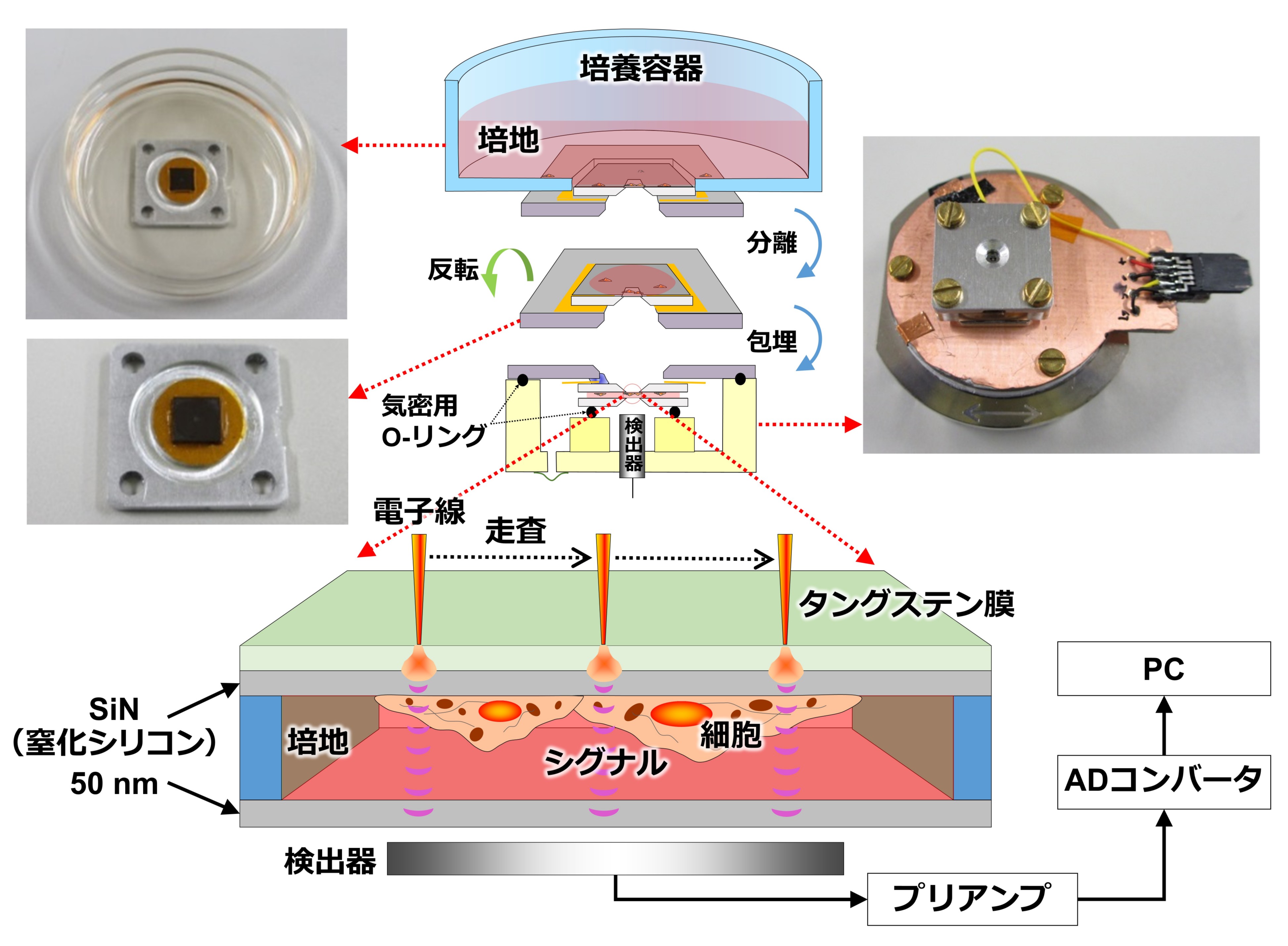 研究紹介図