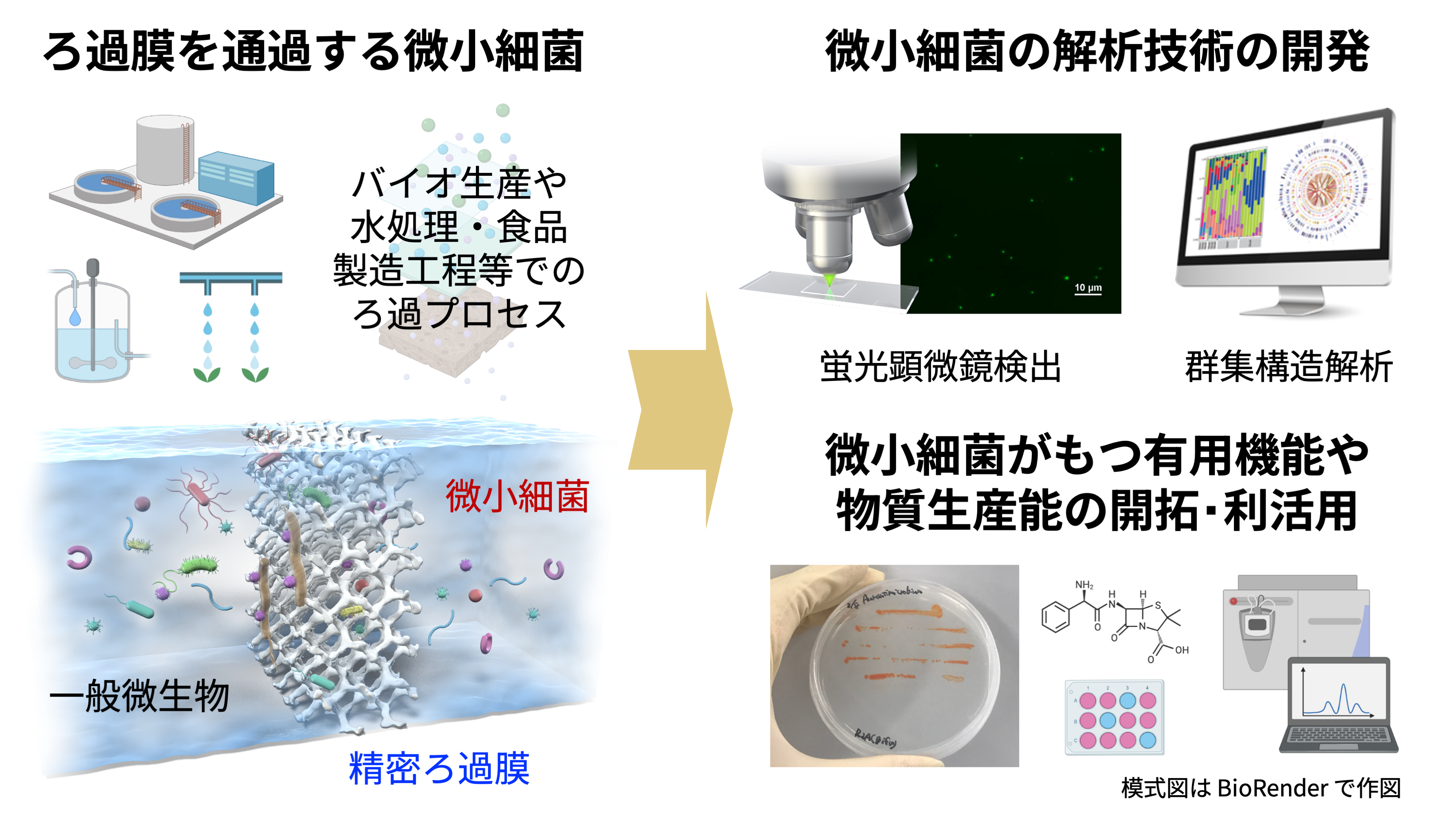 研究紹介図