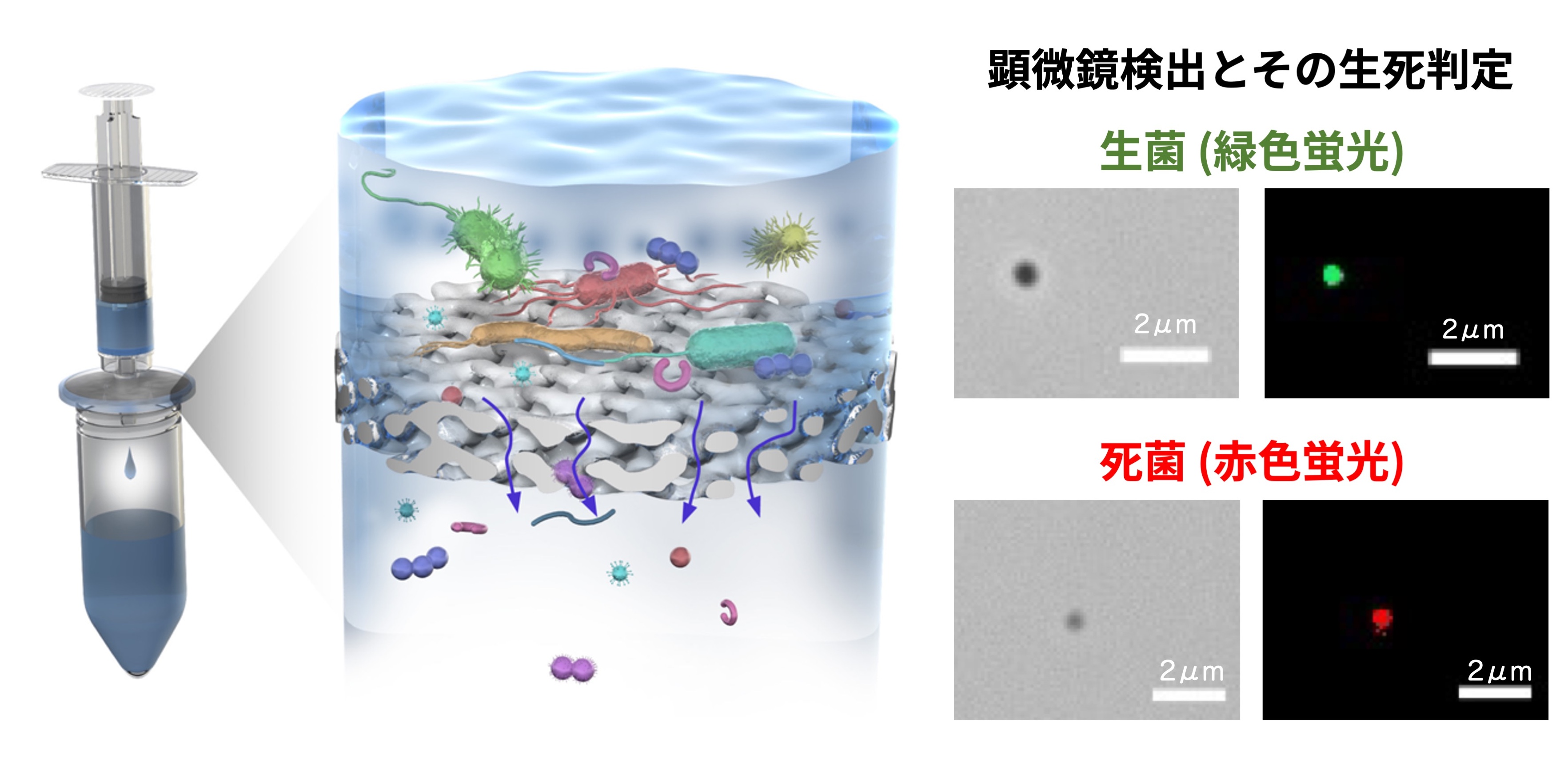 微小細菌混入を早期に検出する技術の開発の図