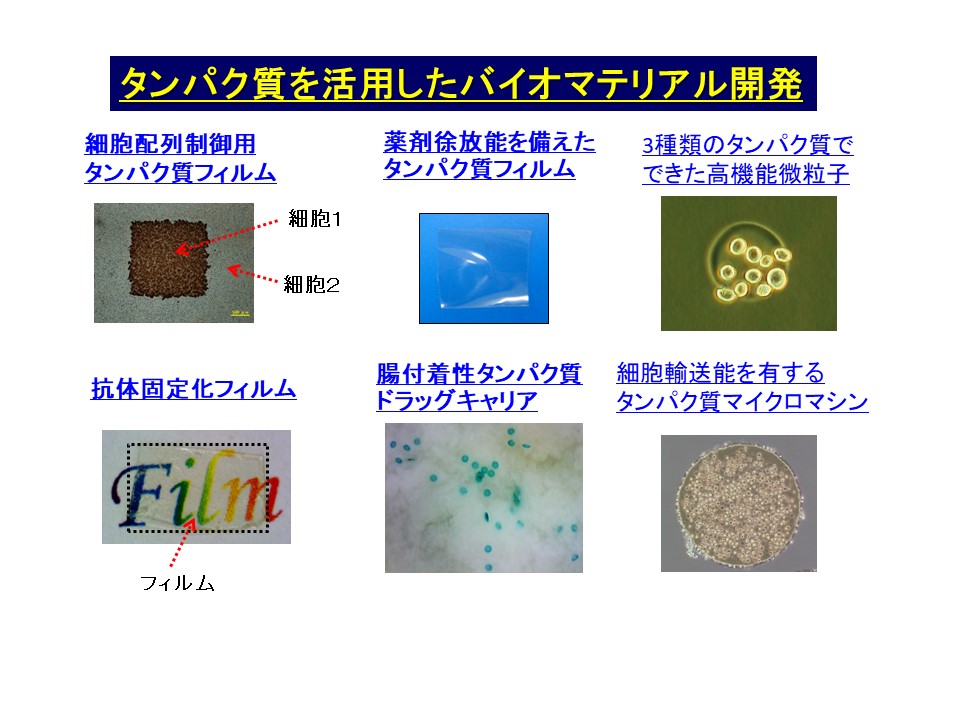 研究紹介図