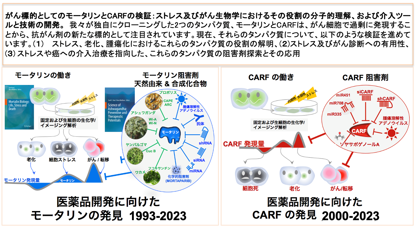 研究紹介図