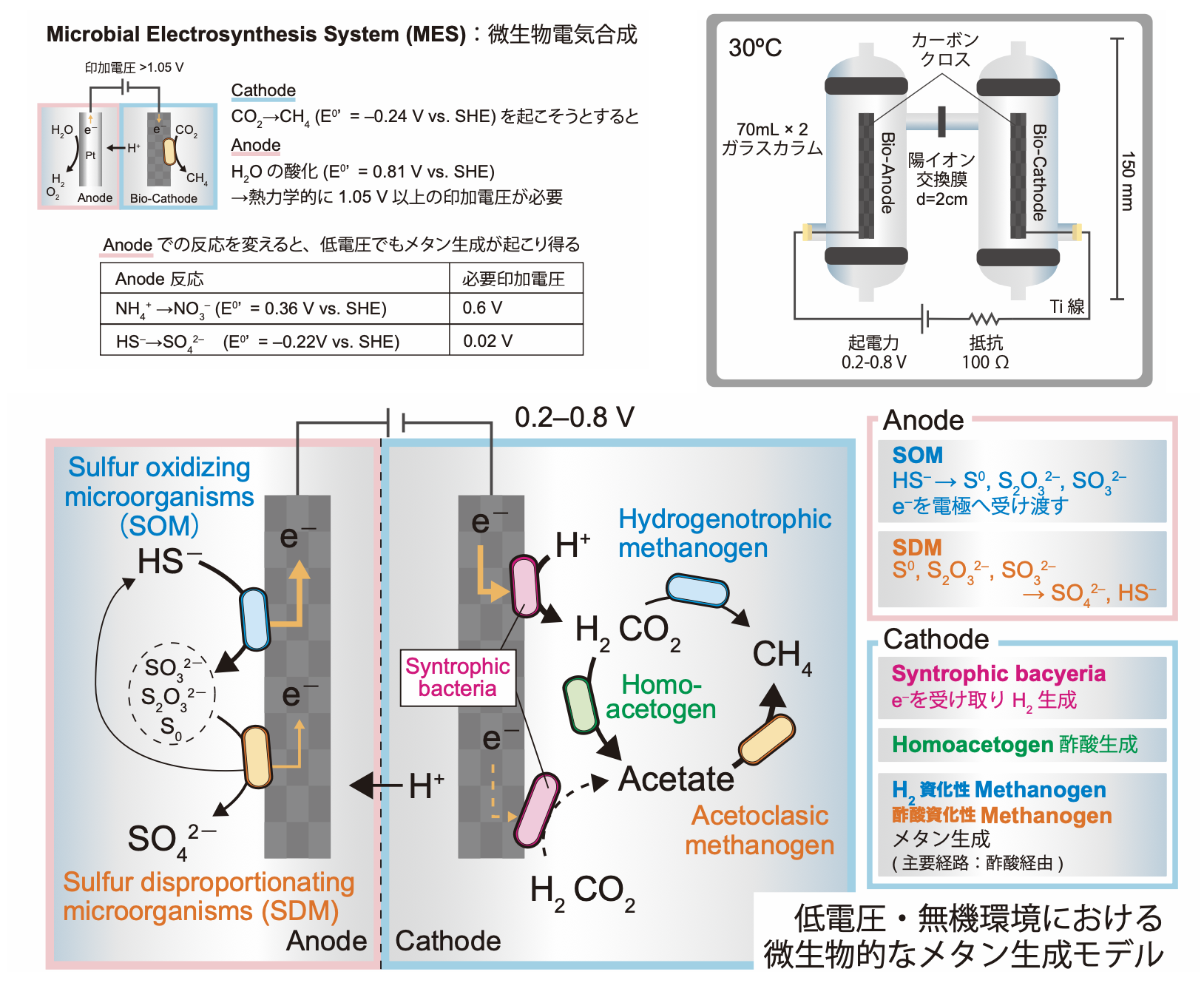 微生物電気合成システムを用いた二酸化炭素からのメタン生成の図