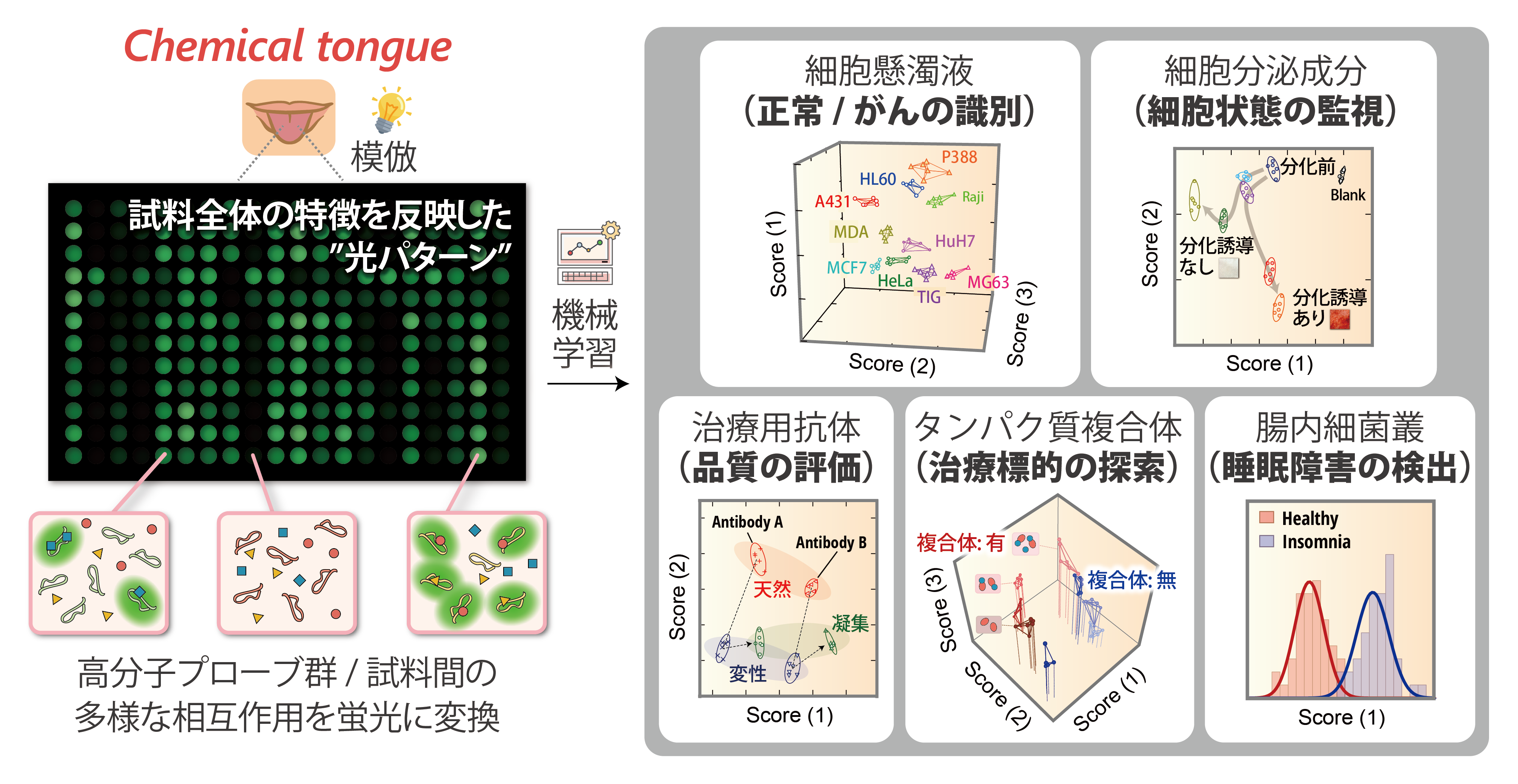 分子アレイと機械学習を統合した分析技術ケミカルタンの開発の図