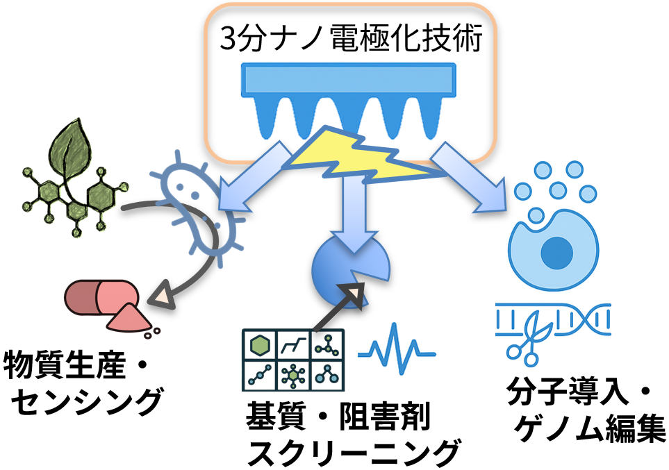 簡便プロセス型ナノ電極を用いたバイオ反応活性化プラットフォームの図