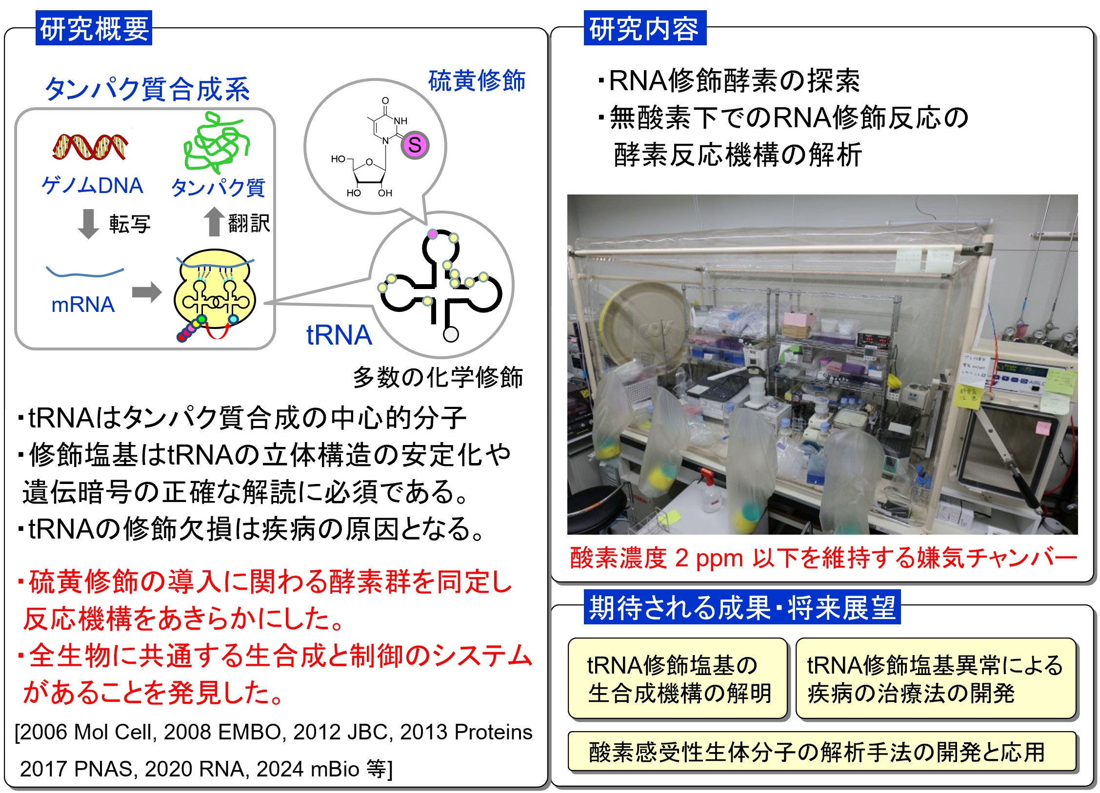 研究紹介図