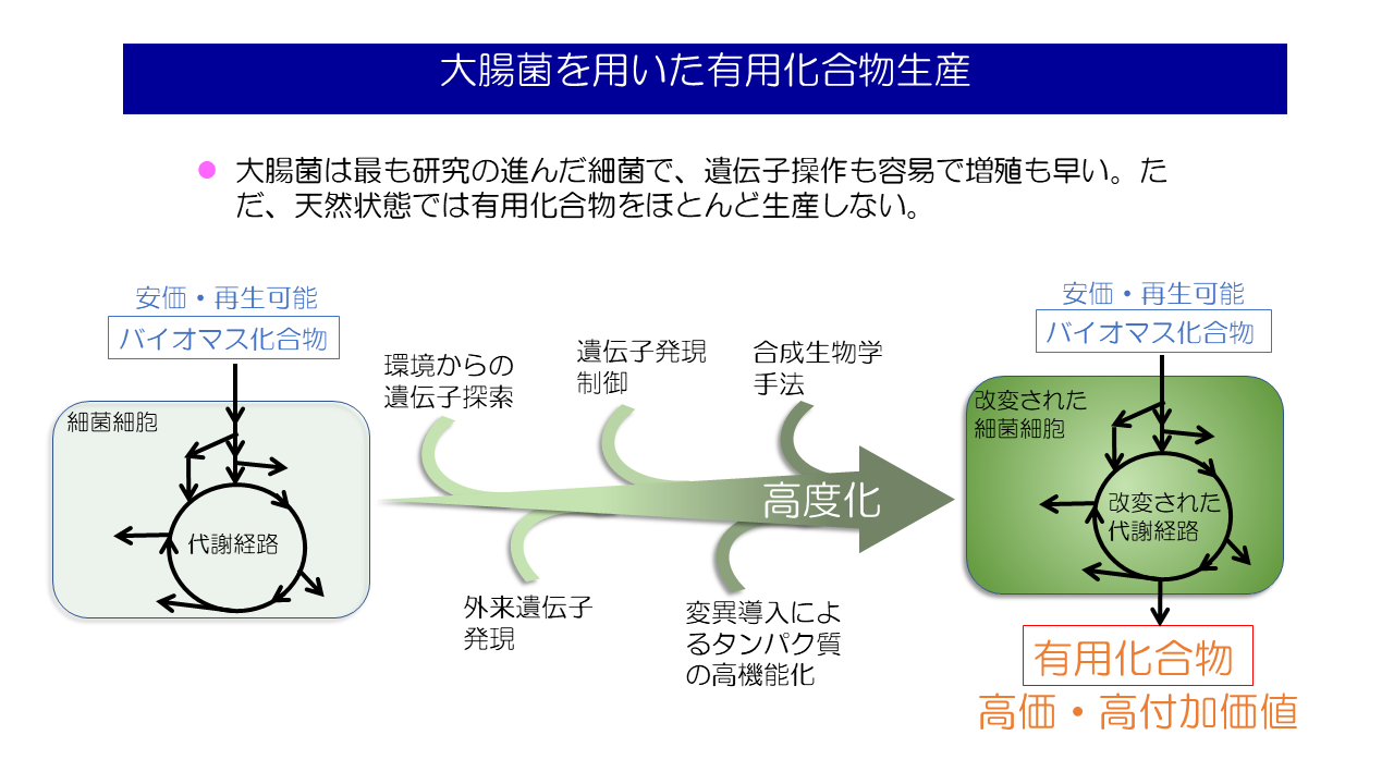 研究紹介図