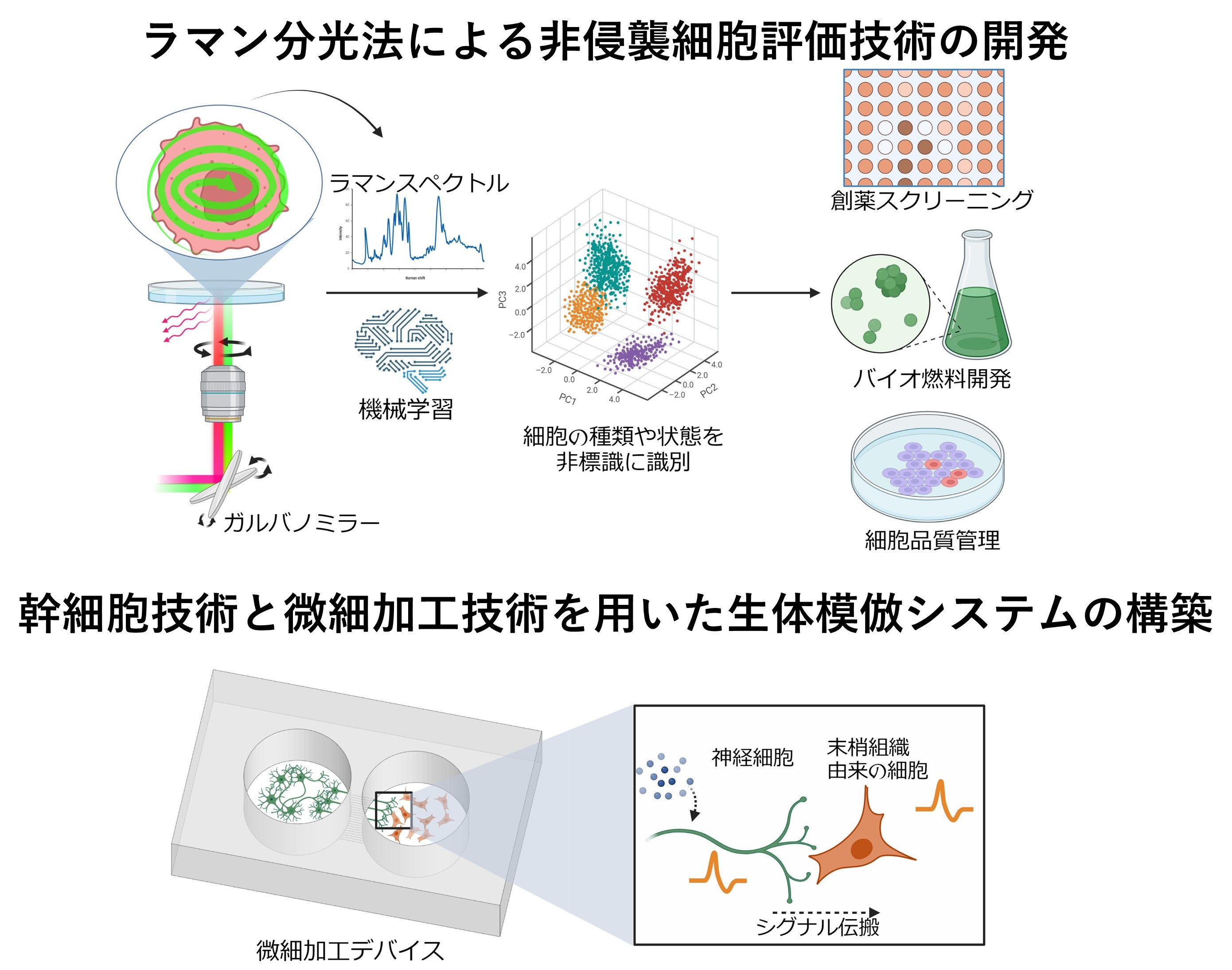 研究紹介図