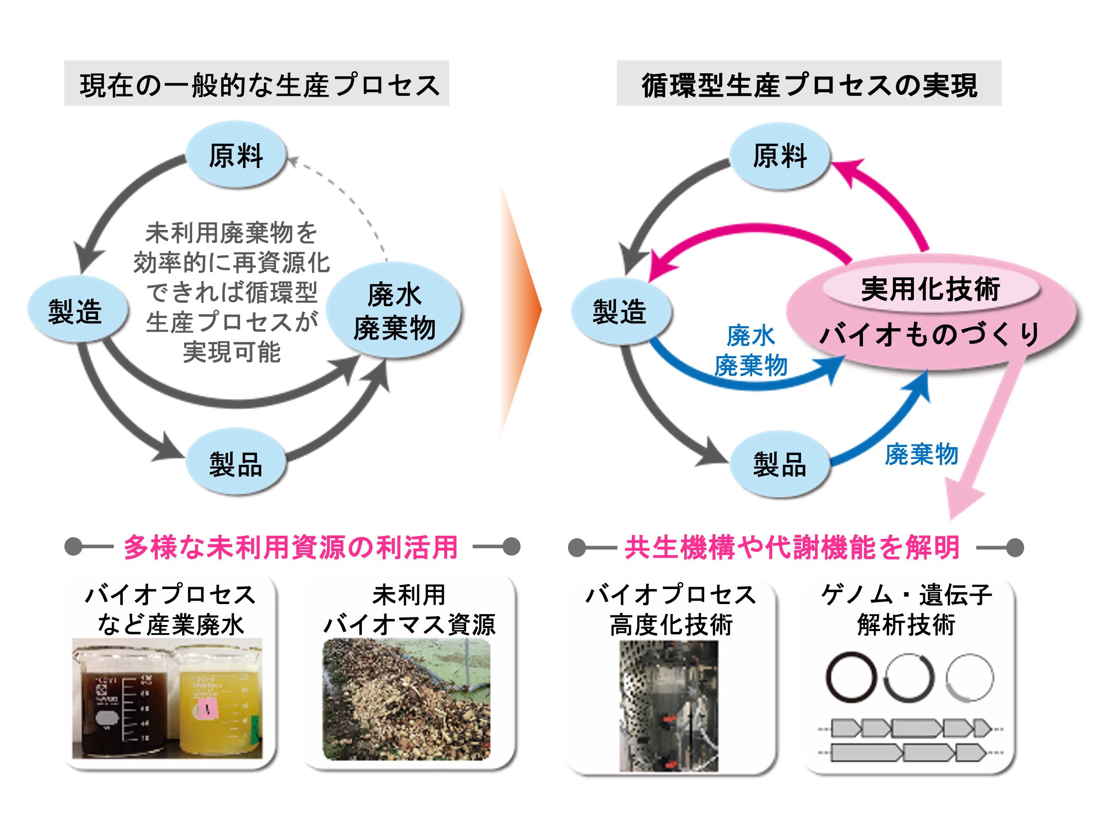 研究紹介図