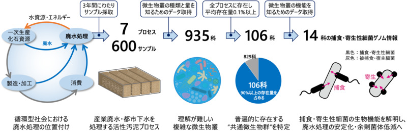 廃水処理に利用される活性汚泥プロセスに共通する微生物群を特定の図
