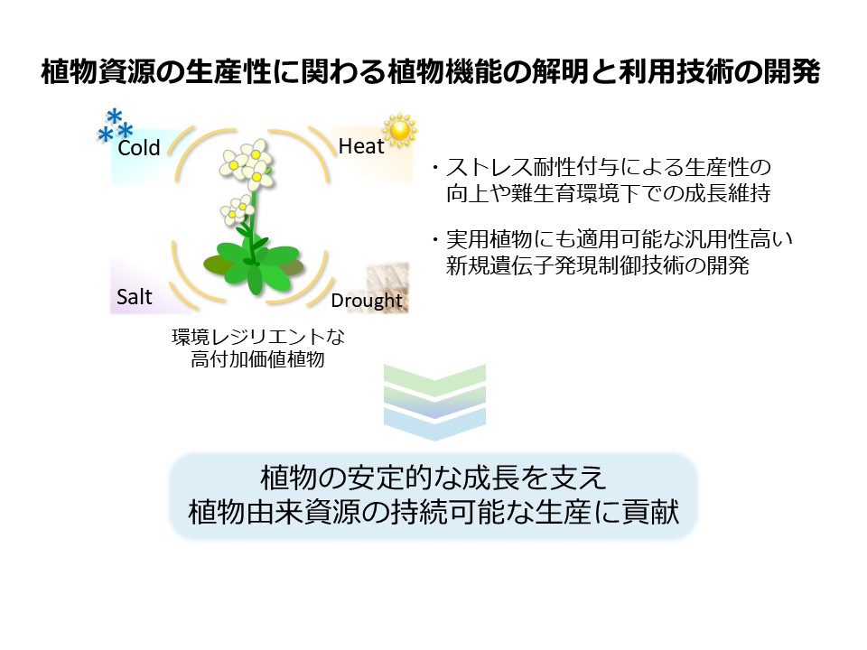 研究紹介図
