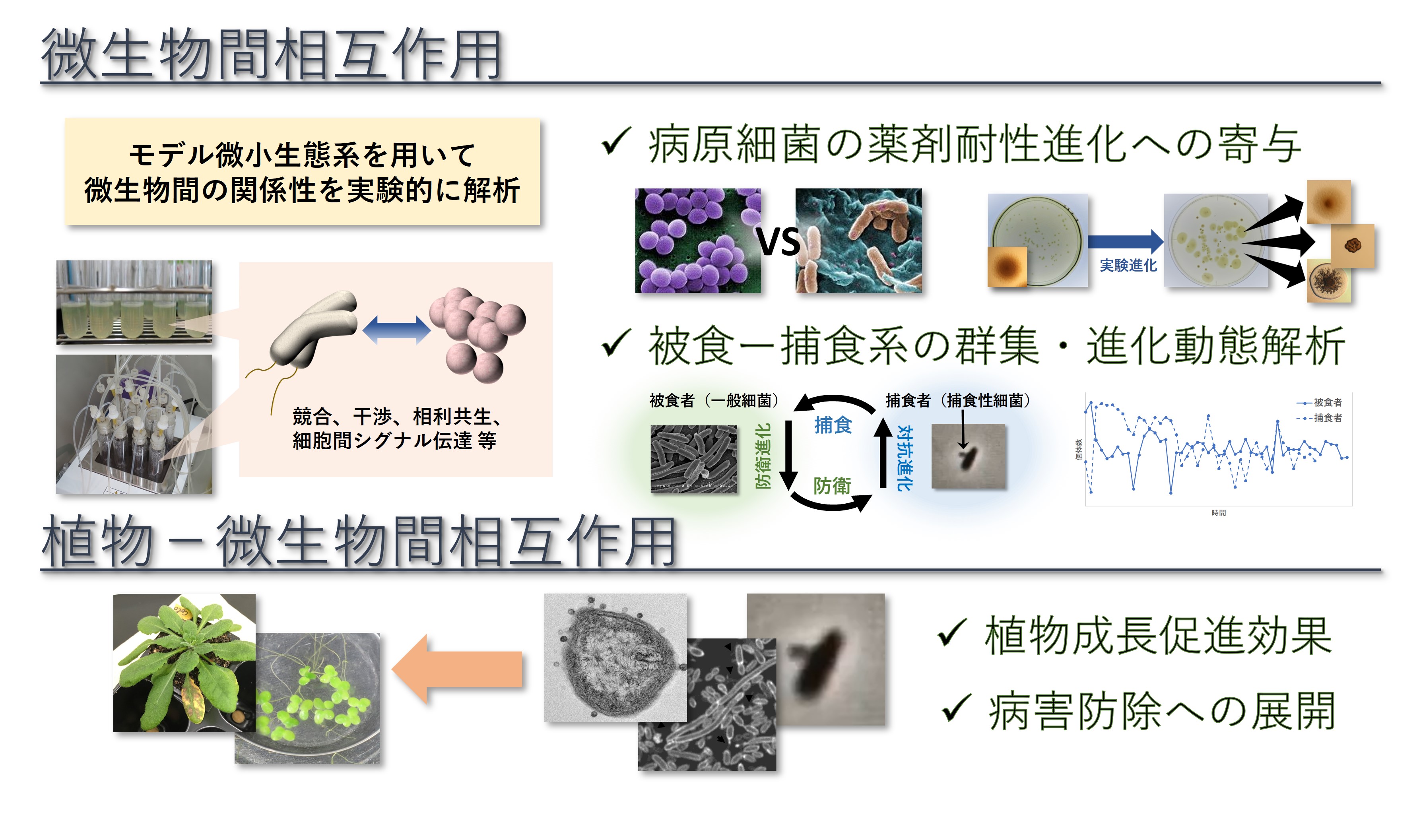 研究紹介図