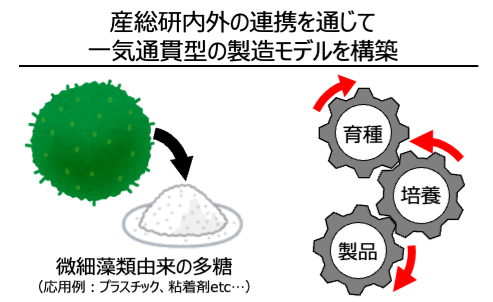 研究紹介図