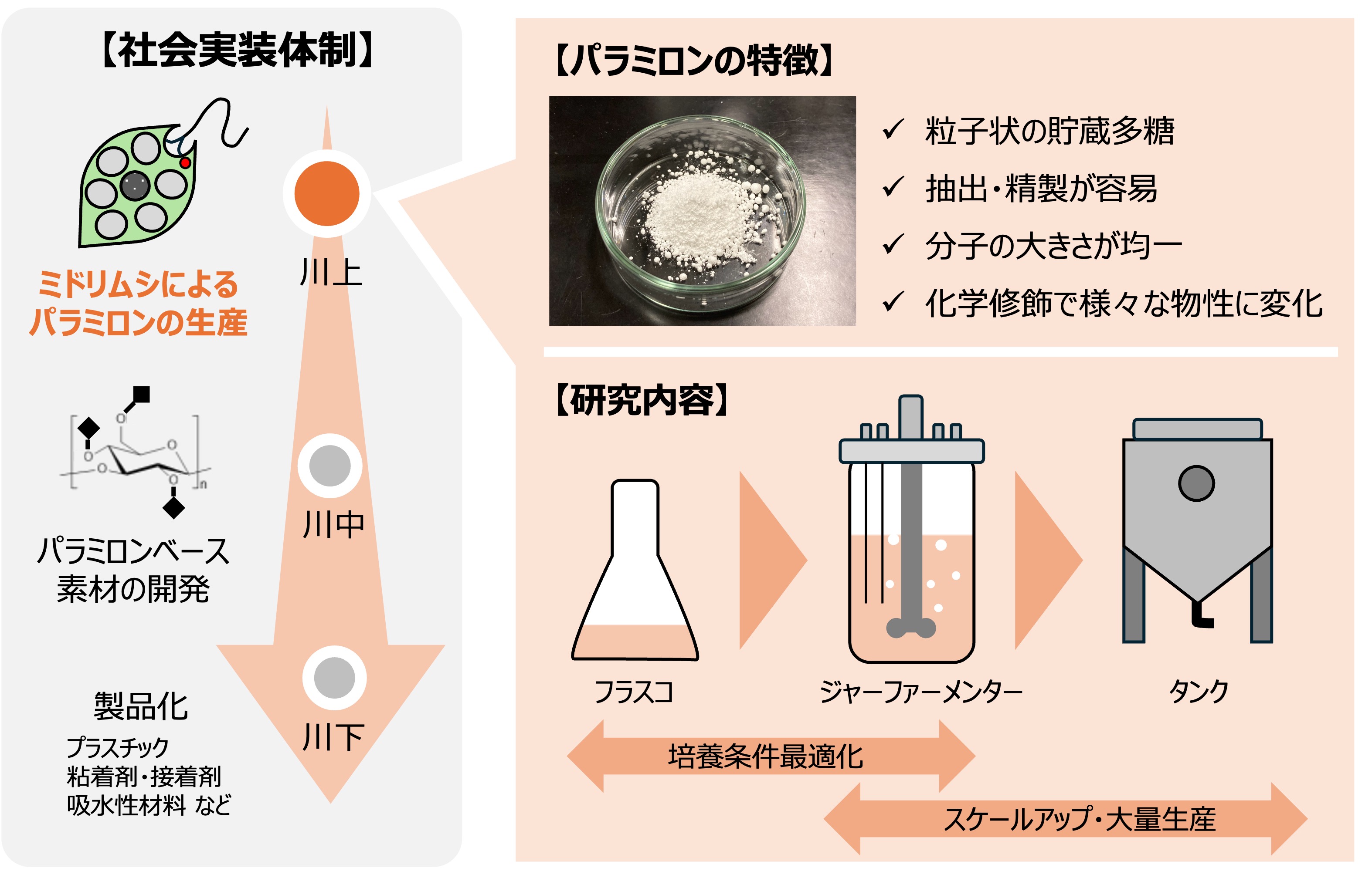 微細藻類を活用したものづくりの図