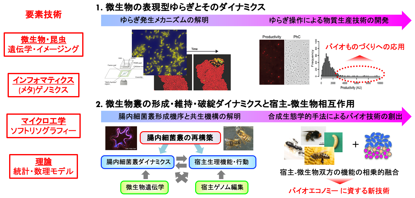 研究紹介図