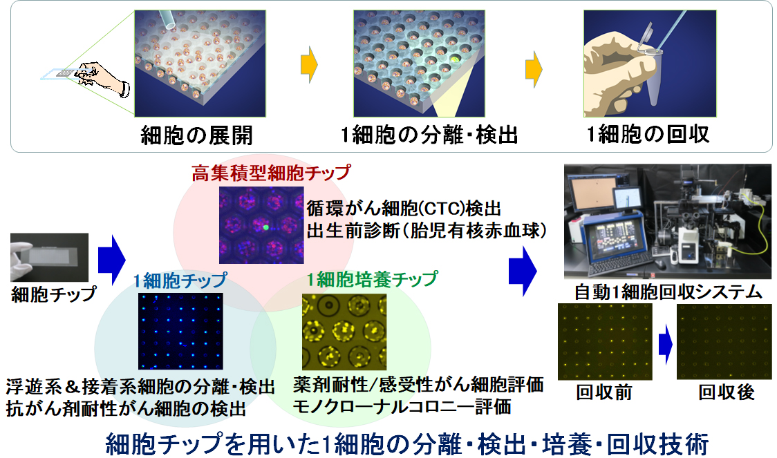 1細胞解析・診断用の細胞チップの図