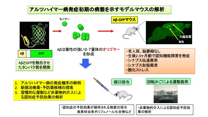 研究紹介図
