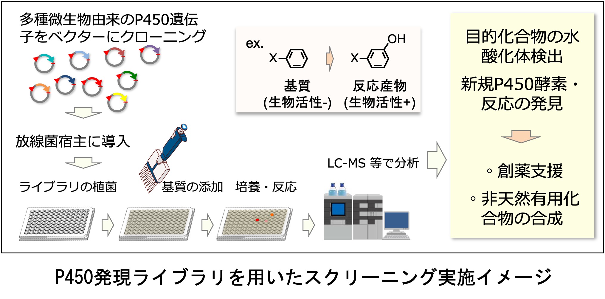 研究紹介図