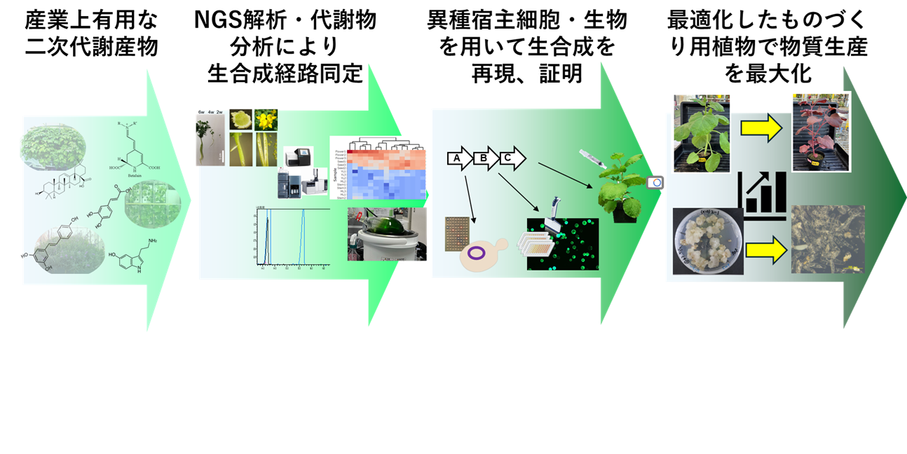研究紹介図