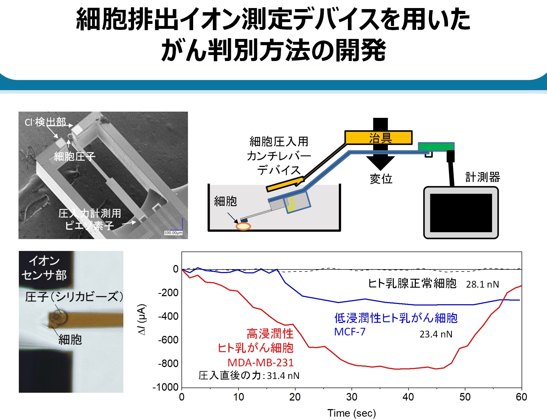 細胞が排出する塩化物イオン測定デバイスの図