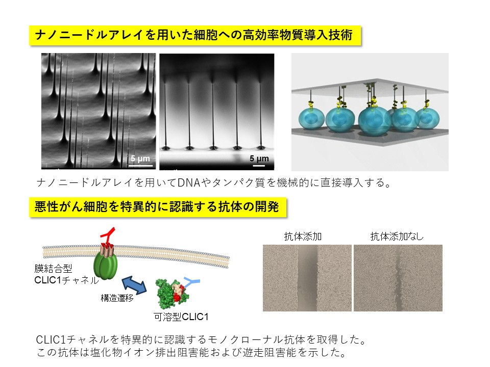 研究紹介図
