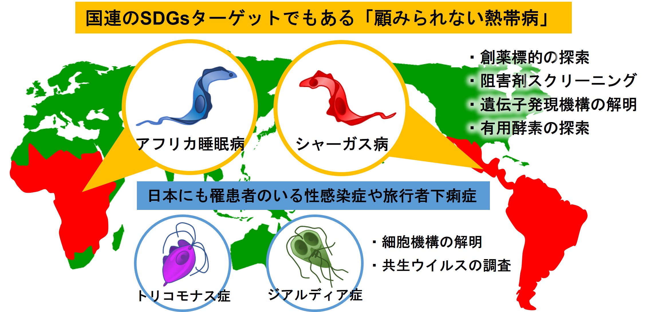 研究紹介図