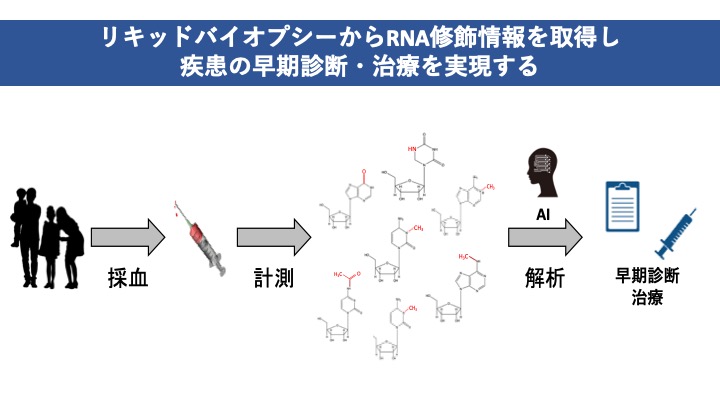 研究紹介図