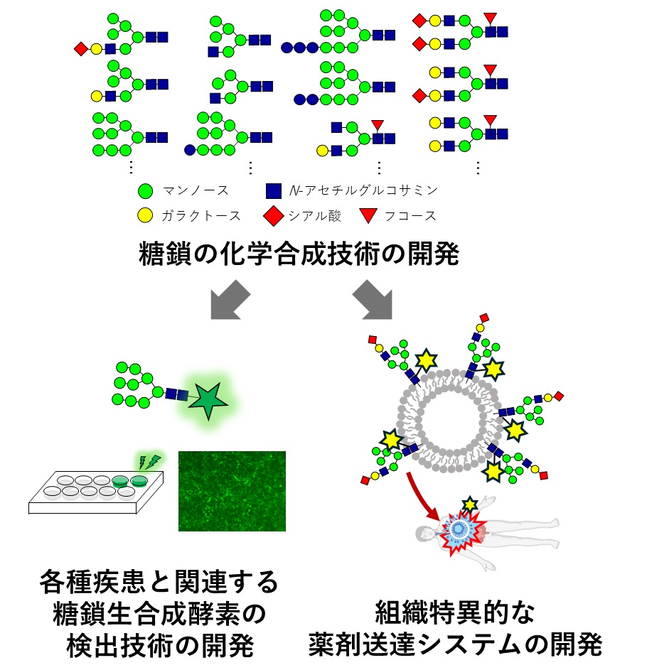 研究紹介図