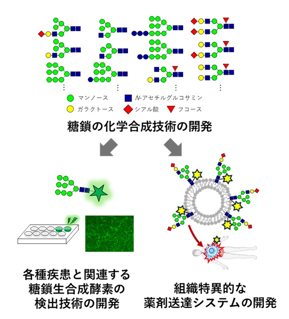 糖鎖の化学合成の図