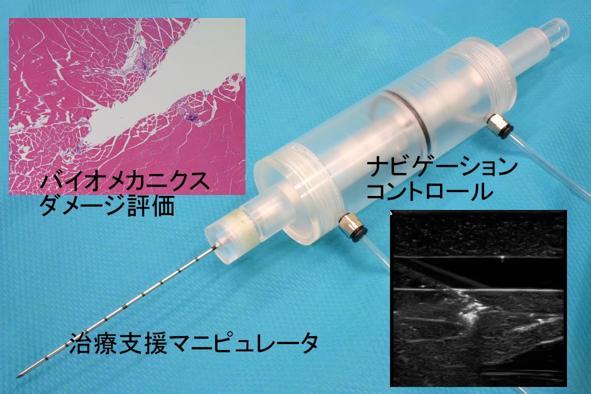 研究紹介図