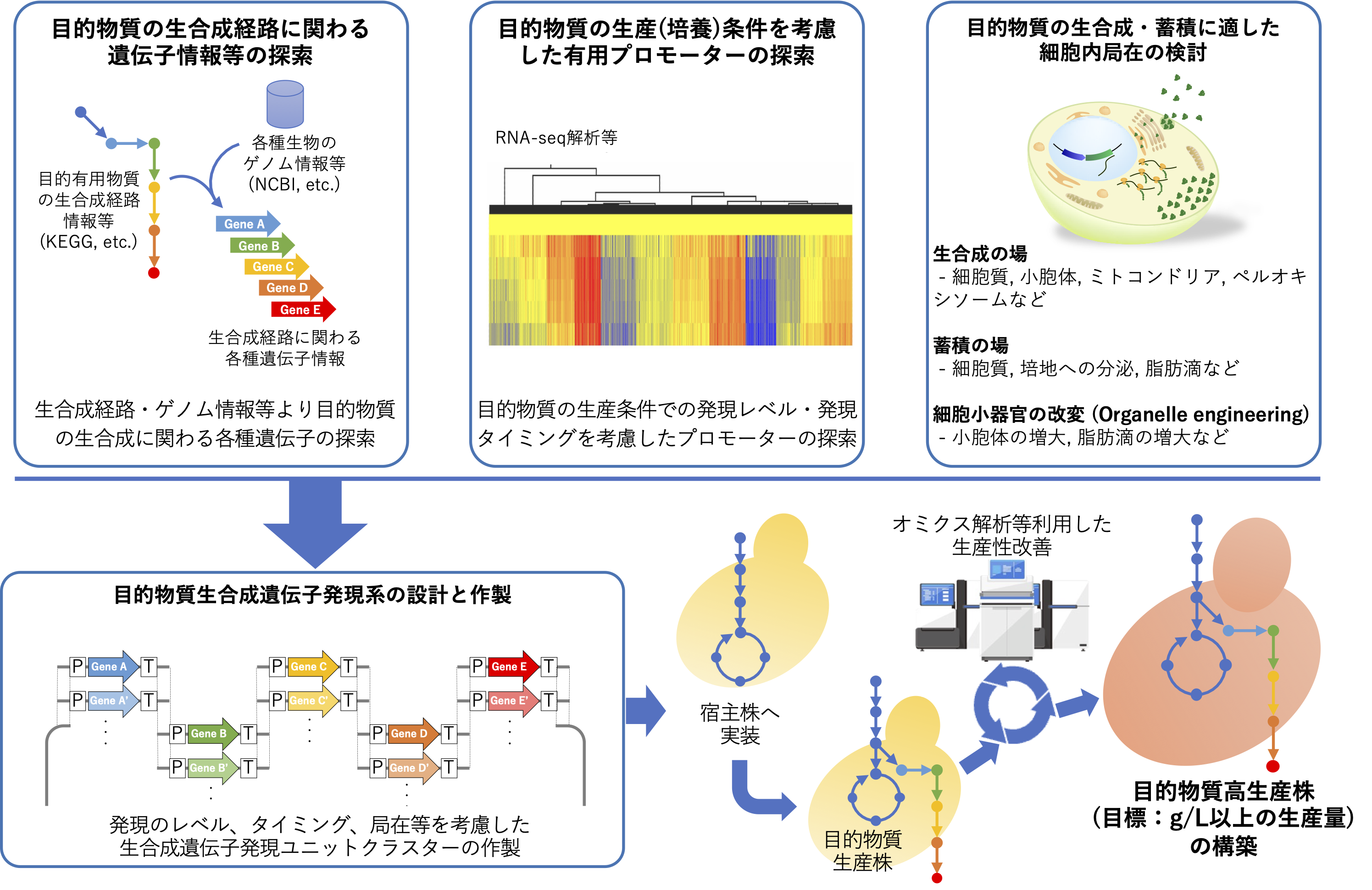 研究紹介図