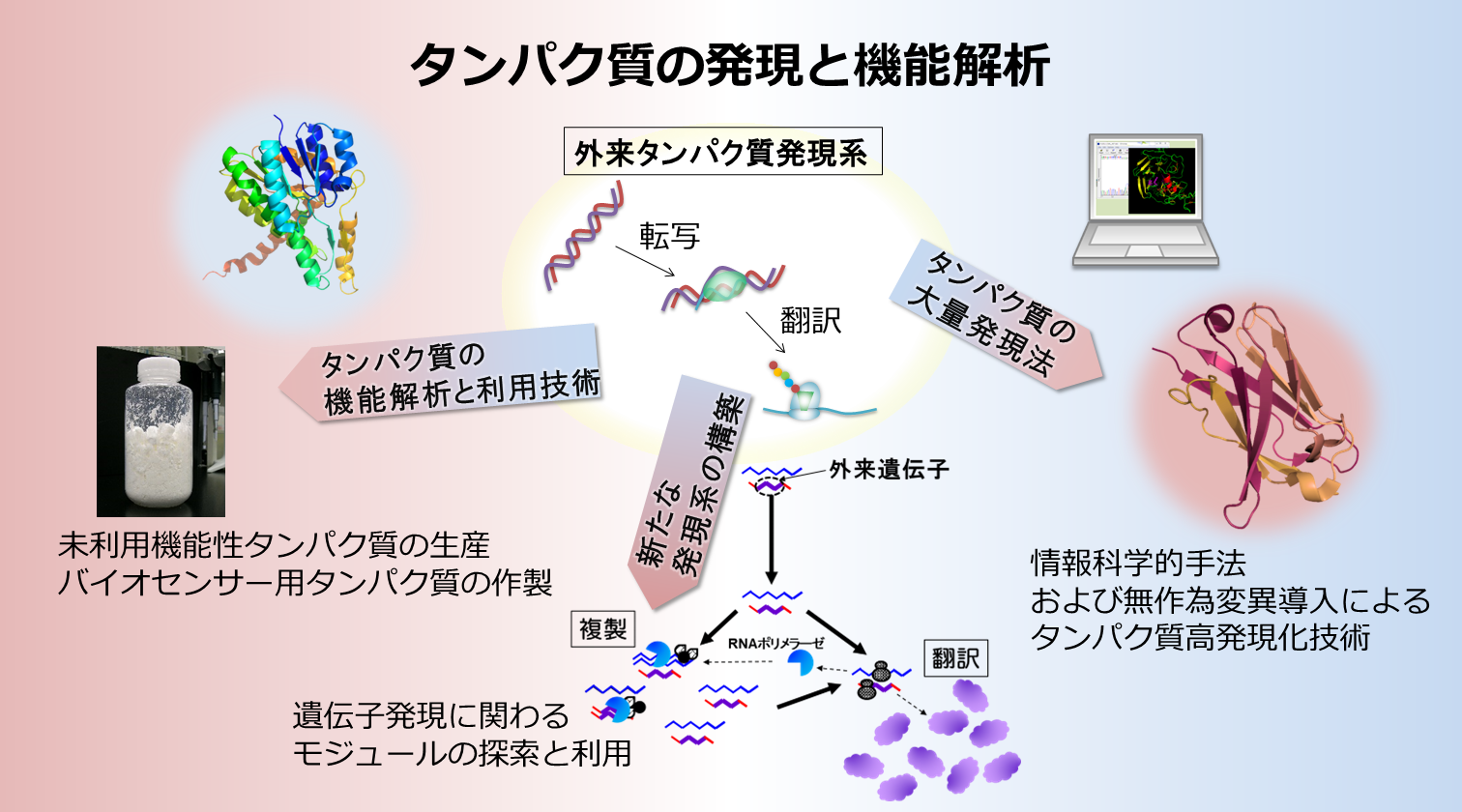 研究紹介図