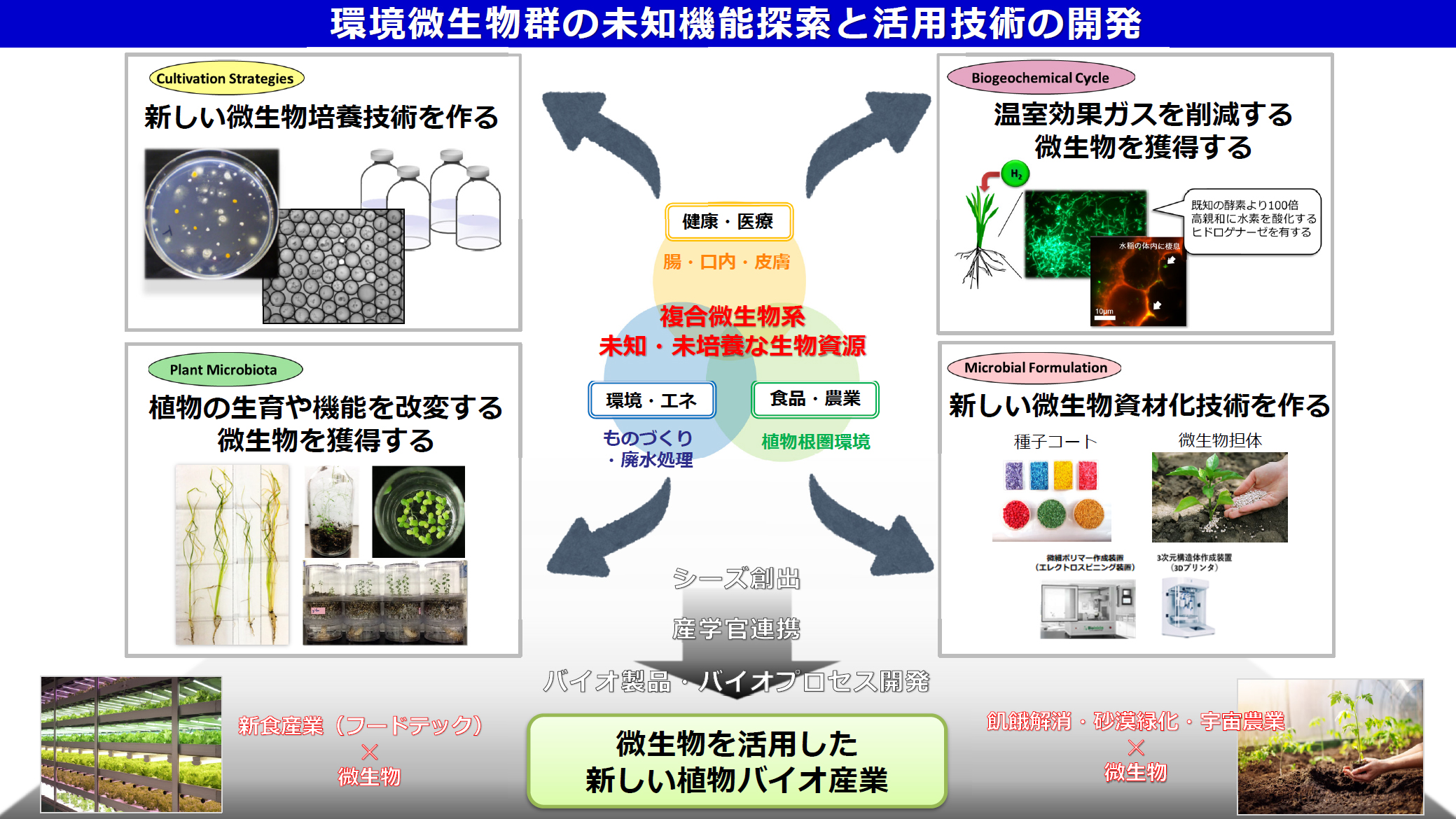 研究紹介図