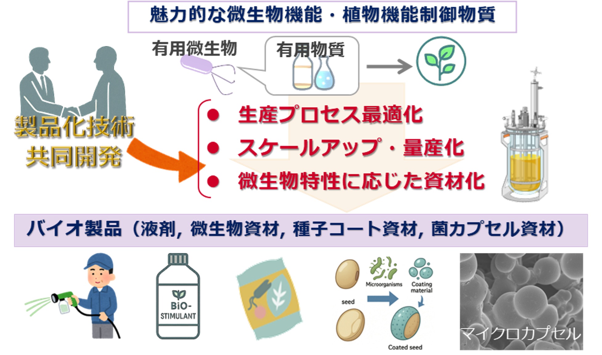 植物共生微生物の力を、次世代バイオ製品への図