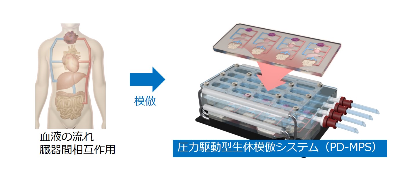 研究紹介図