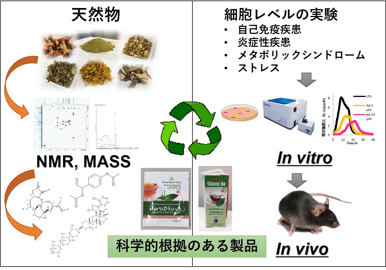 研究紹介図