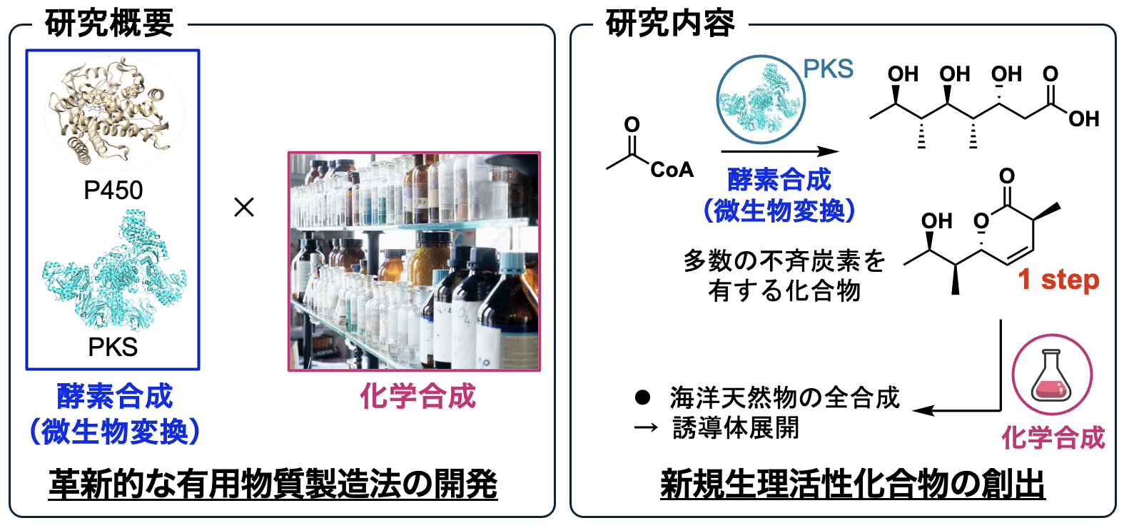 研究紹介図