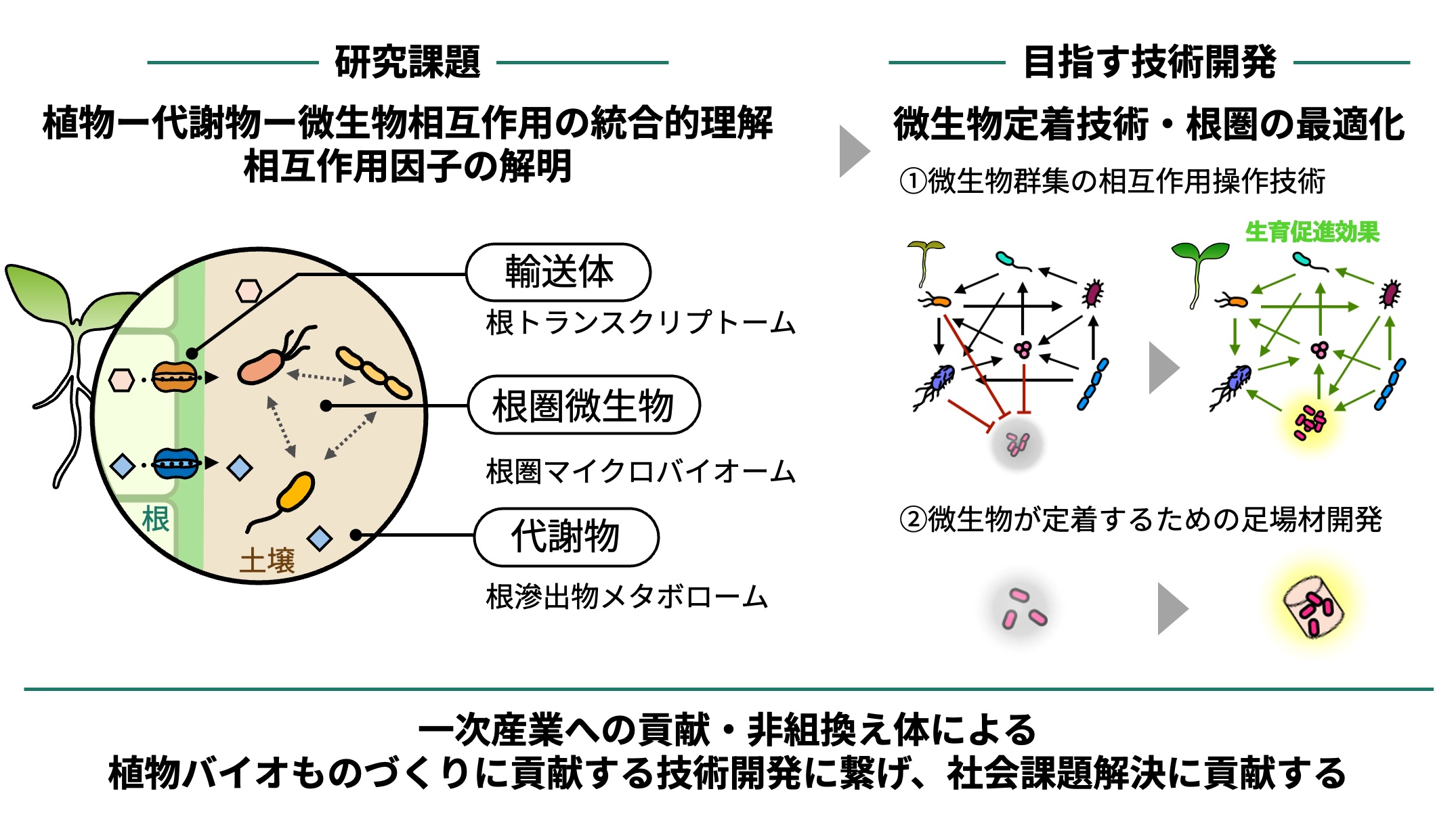研究紹介図