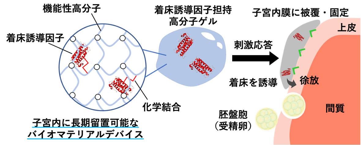研究紹介図