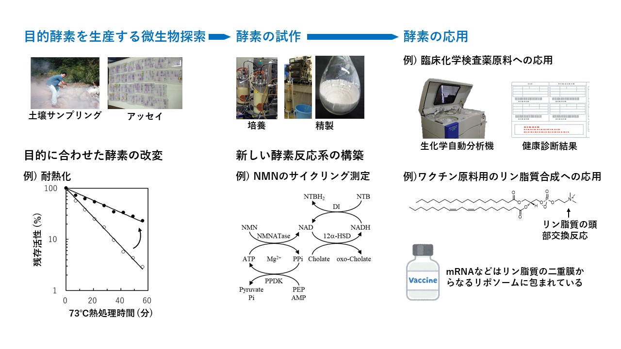 研究紹介図