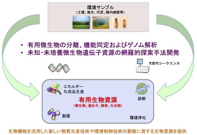 研究紹介図
