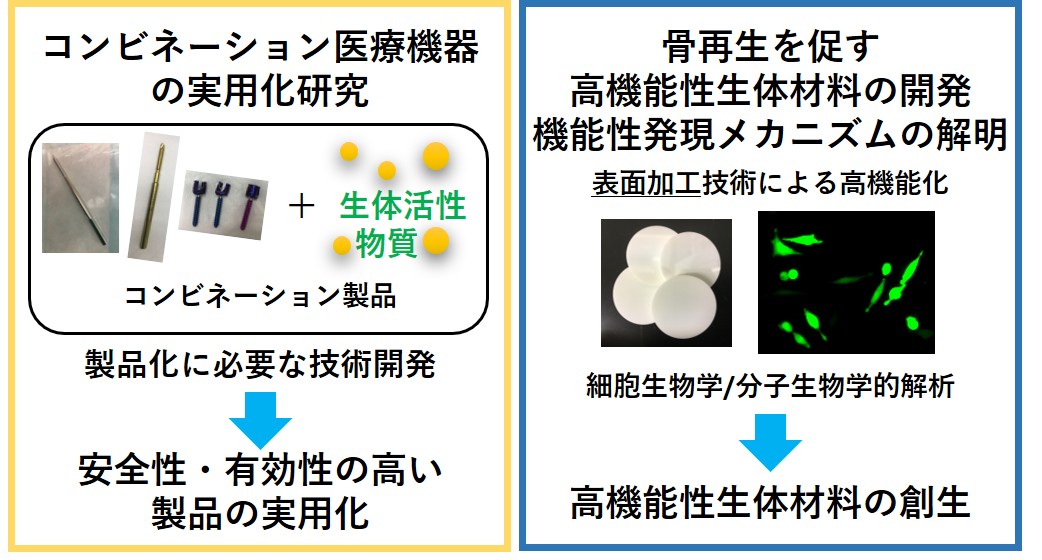 研究紹介図