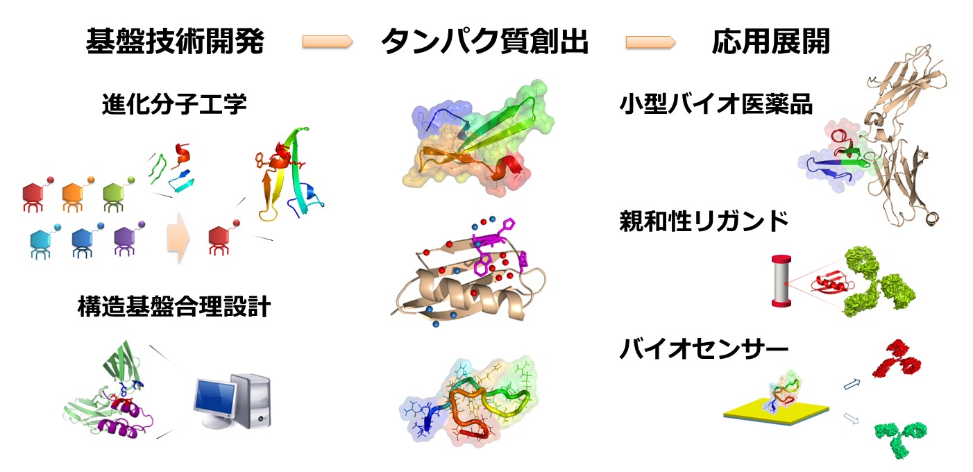 研究紹介図