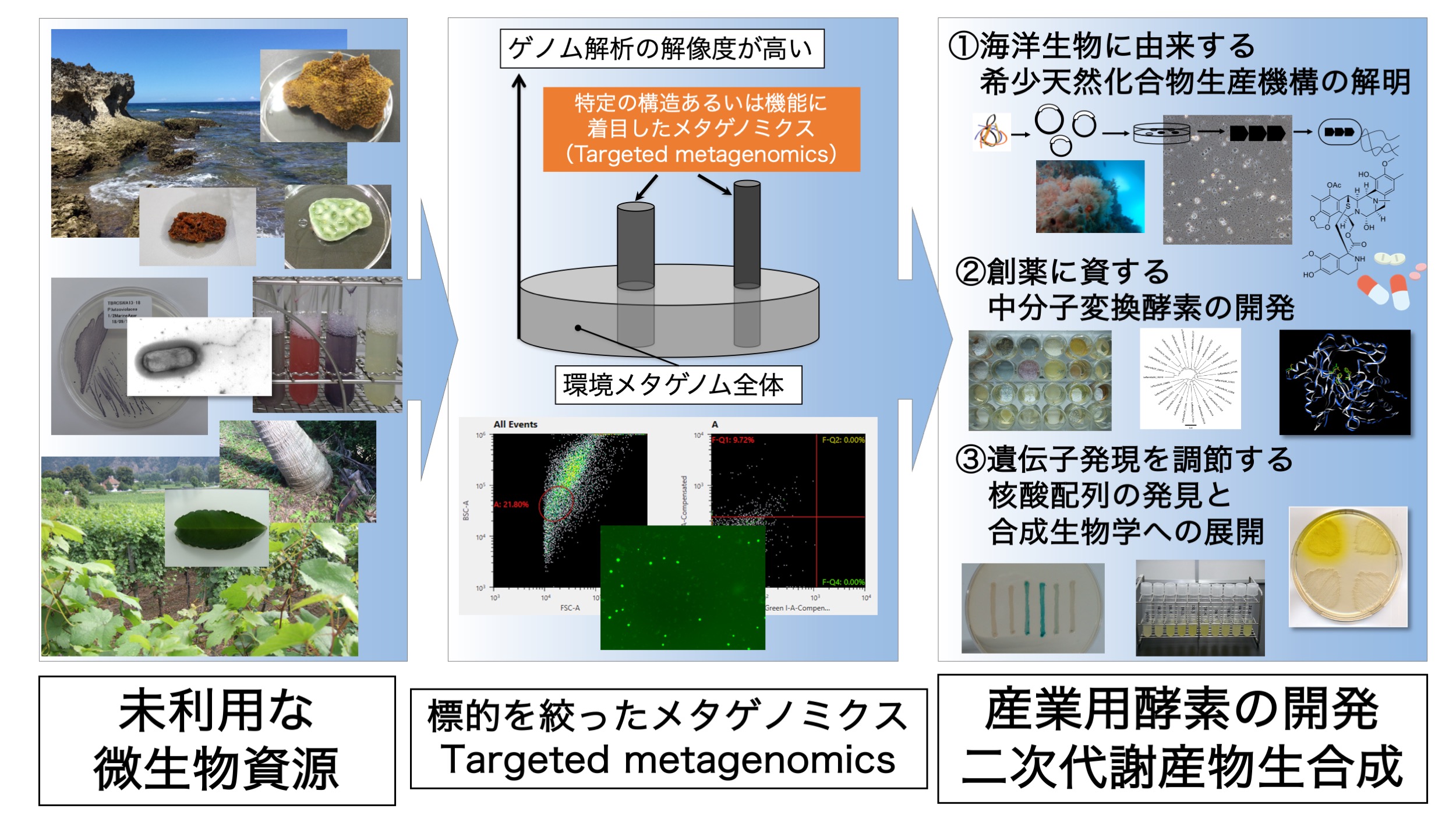 研究紹介図