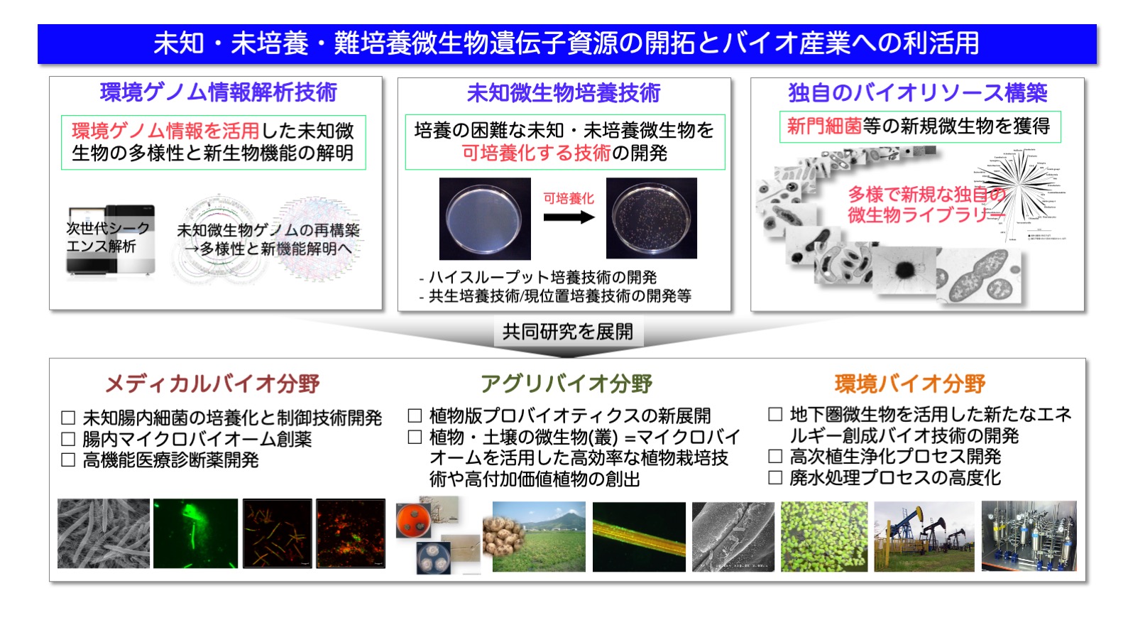 研究紹介図