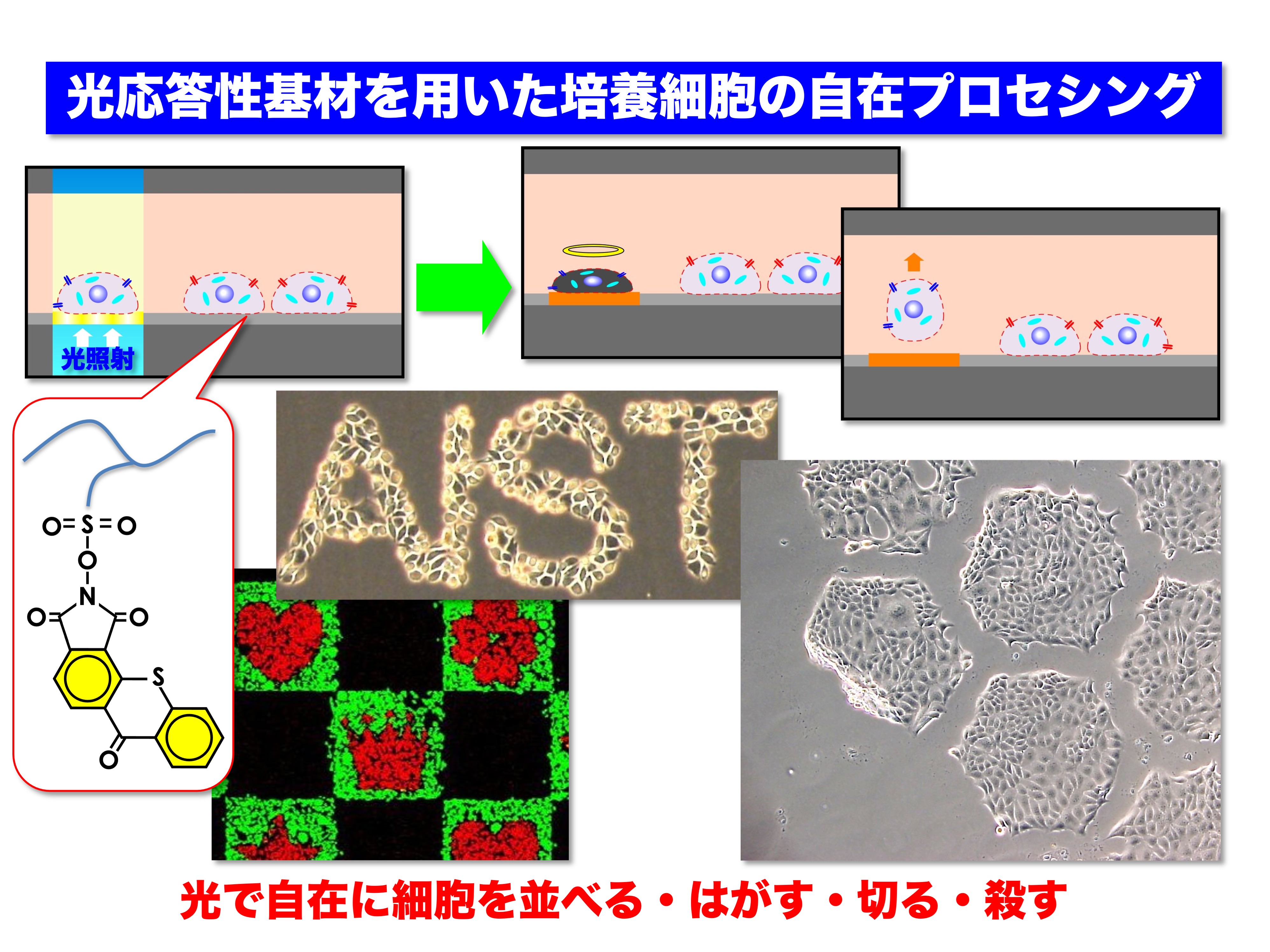 研究紹介図