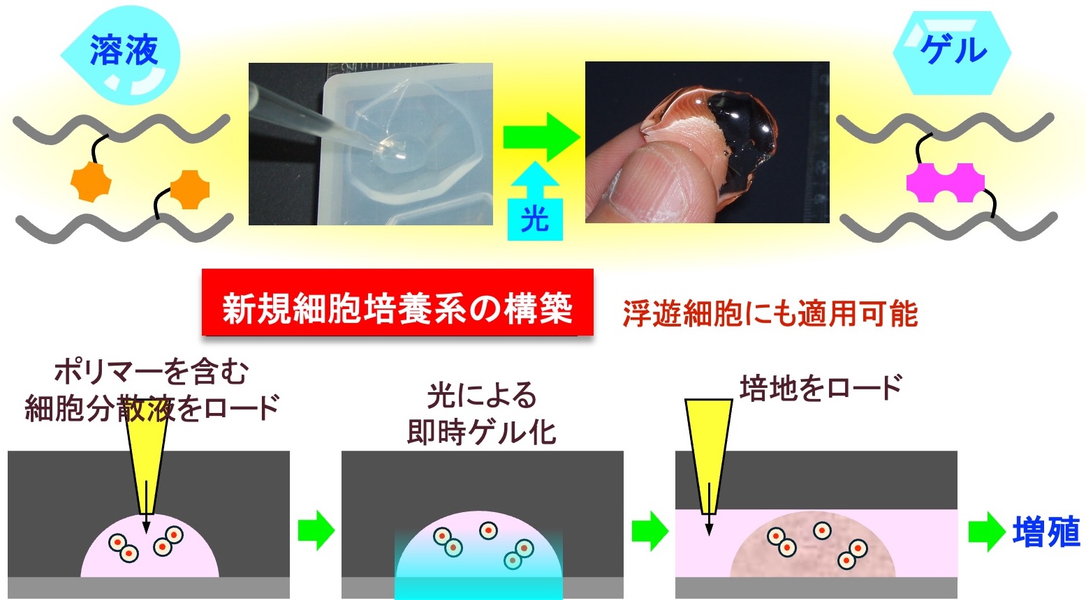 ポリマー溶液を光で瞬時にゲル化する技術の図