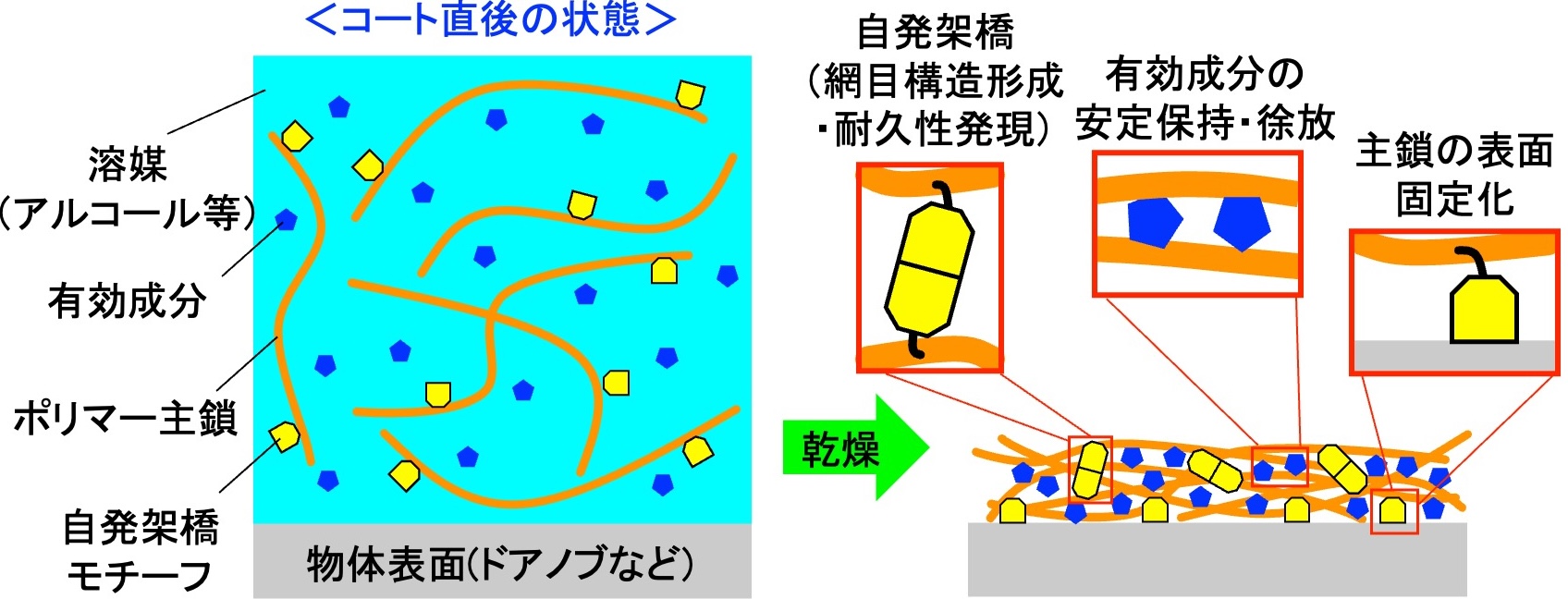 自然乾燥で自発架橋するポリマーコーティング材料の図