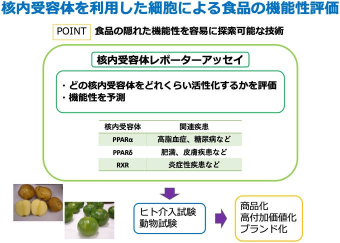 研究紹介図